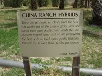 DSCN3844.webp