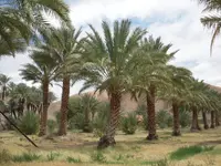 DSCN3858.webp