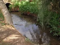 DSCN3888.webp