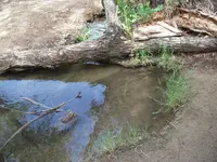 DSCN3894.webp