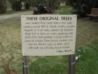 DSCN3881.webp