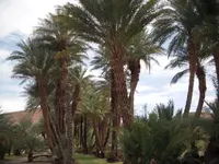DSCN3880.webp
