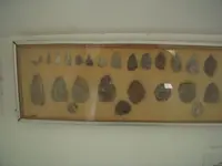 DSCN3901.webp