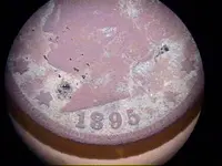 pTown1895NICKEL.webp