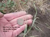 SF Park Finds 5-26-12 001.webp