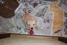 20100929_25.webp 20100929_25.webp
