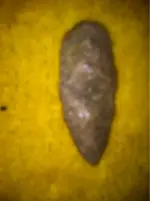 image-616181281.webp