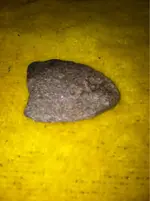 image-4020845199.webp