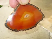 Agate 1.webp