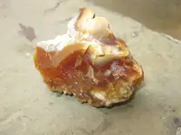 Common Opal 2.webp