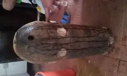 2012-05-17 15.28.07.webp