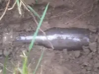 image-3555014916.webp
