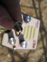 10K Ring 001.webp