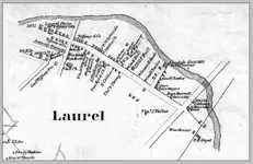 laurel.webp
