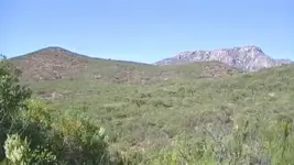 00013_Capture.webp