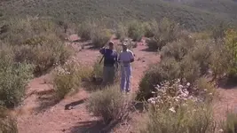 00010_Capture_1.webp