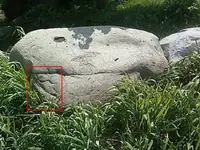 map.webp
