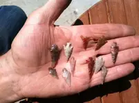 photo-48.webp photo-48.webp
