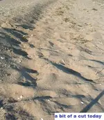 DSCF1477.webp