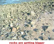 DSCF1478.webp
