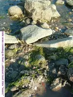 DSCF1482.webp
