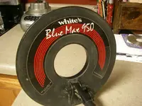 whites 010.webp