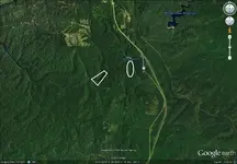 goldlocguidedowse.webp