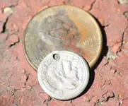 closeupsharpened.webp closeupsharpened.webp