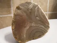 DSCF19255.webp