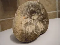 DSCF19266.webp