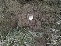 Sunday Myrtle Hunt 008.webp