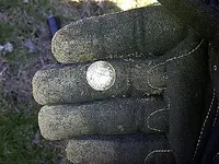 Sunday Myrtle Hunt 015.webp