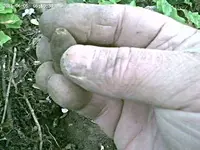 rsz_vlcsnap-2012-04-28-20h41m54s58.webp