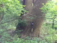 image-4119469660.webp