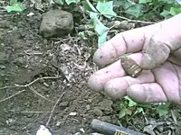 rsz_vlcsnap-2012-04-28-20h43m11s65.webp