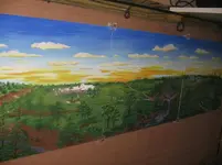 andy 005.webp