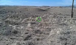 IMAG0199dowsed.webp