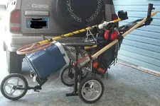 jolly Roger.webp jolly Roger.webp