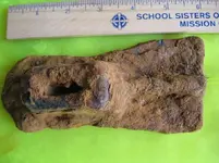 06. unknown object that looks like a shoe.webp