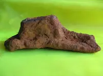 08. side view of shoe.webp