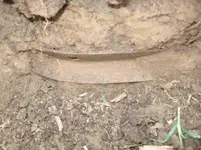 16. Metal band found.webp