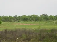 18. part of search area.webp