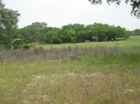 19. sandy search area.webp