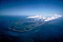 884091-R1-E075.webp