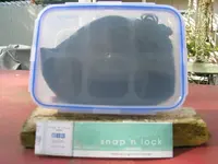 195_9558.webp