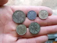A1A dig finds.webp