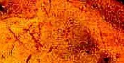 XxK.webp