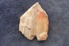 DSCF0033.webp