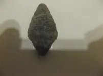 DSCF0068.webp
