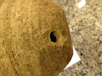 OJ hole 2.webp